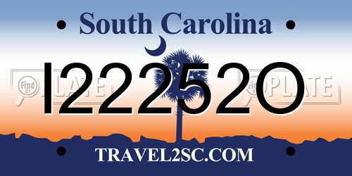 I22252O South Carolina License Plate
