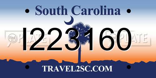 I223160 South Carolina License Plate