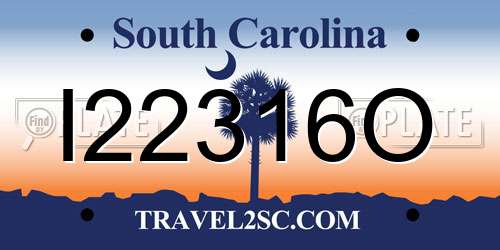 I22316O South Carolina License Plate