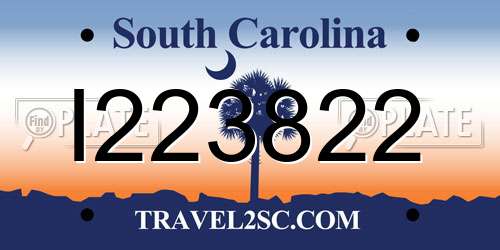 I223822 South Carolina License Plate