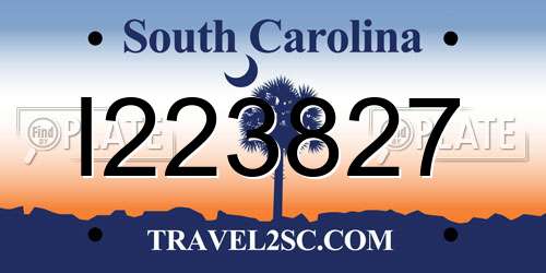 I223827 South Carolina License Plate