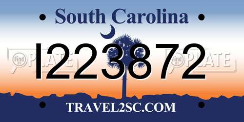 I223872 South Carolina License Plate