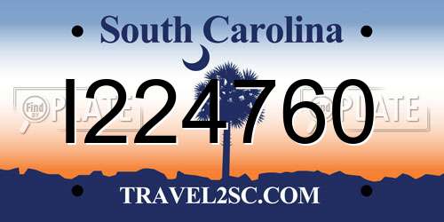 I224760 South Carolina License Plate