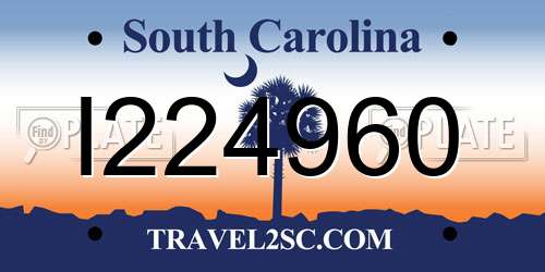 I224960 South Carolina License Plate