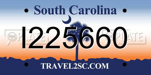 I225660 South Carolina License Plate