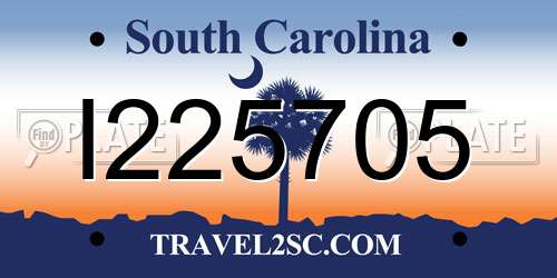 I225705 South Carolina License Plate