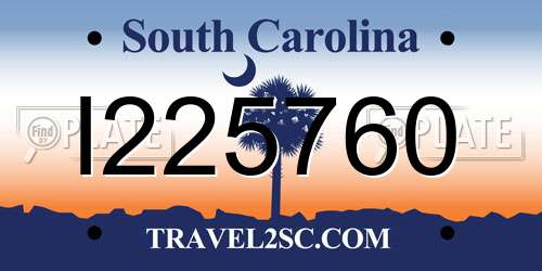 I225760 South Carolina License Plate