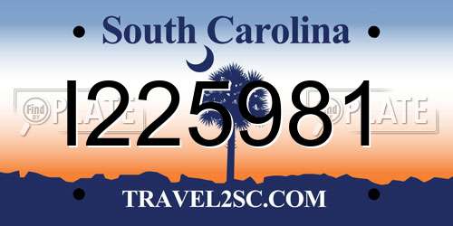 I225981 South Carolina License Plate
