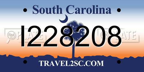 I228208 South Carolina License Plate