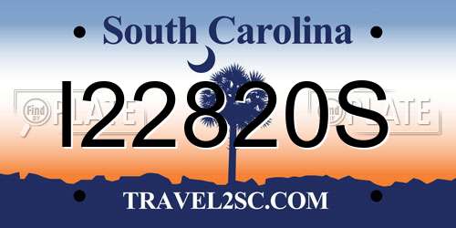 I22820S South Carolina License Plate