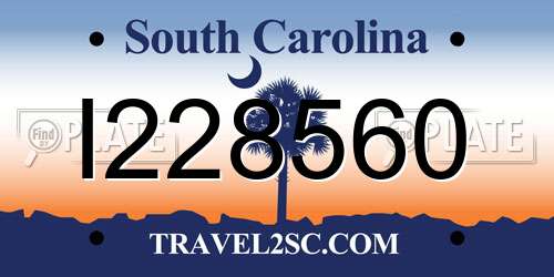 I228560 South Carolina License Plate