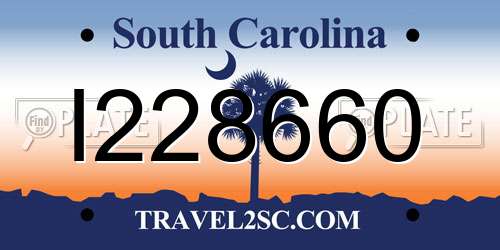 I228660 South Carolina License Plate
