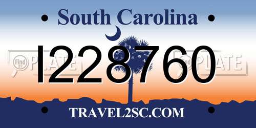 I228760 South Carolina License Plate