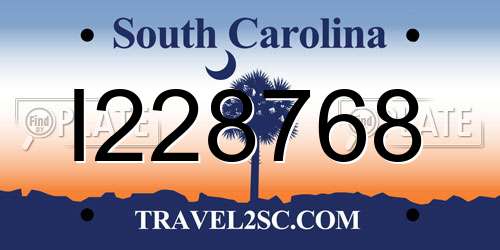 I228768 South Carolina License Plate