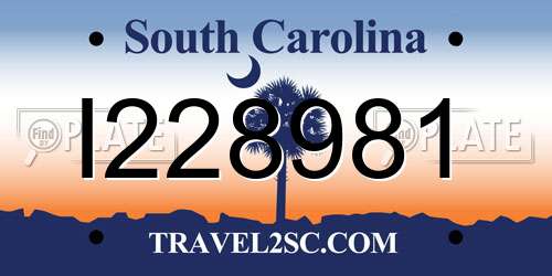 I228981 South Carolina License Plate