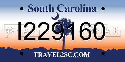 I229160 South Carolina License Plate