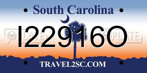 I22916O South Carolina License Plate