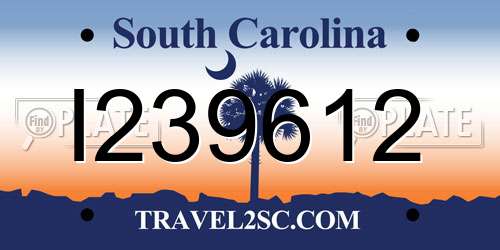 I239612 South Carolina License Plate