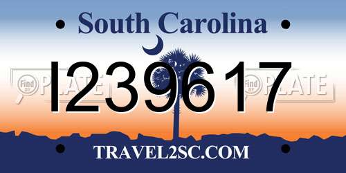 I239617 South Carolina License Plate