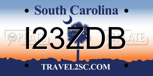 I23ZDB South Carolina License Plate