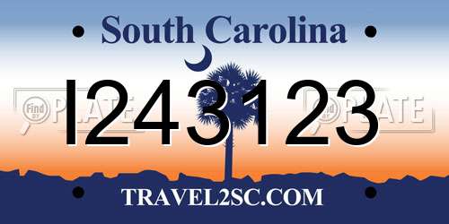 I243123 South Carolina License Plate