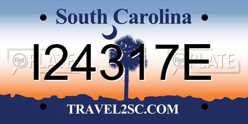 I24317E South Carolina License Plate