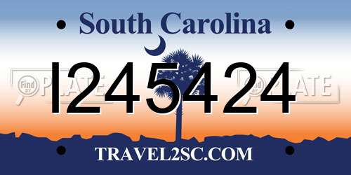 I245424 South Carolina License Plate