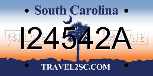 I24542A South Carolina License Plate