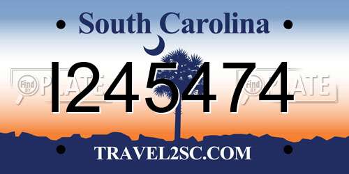 I245474 South Carolina License Plate
