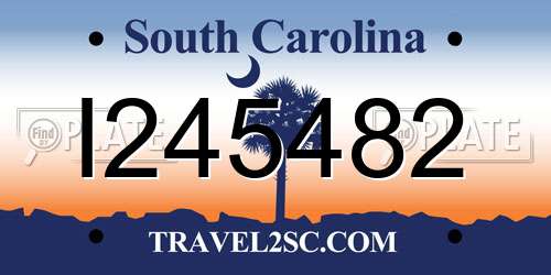 I245482 South Carolina License Plate