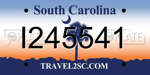 I245541 South Carolina License Plate