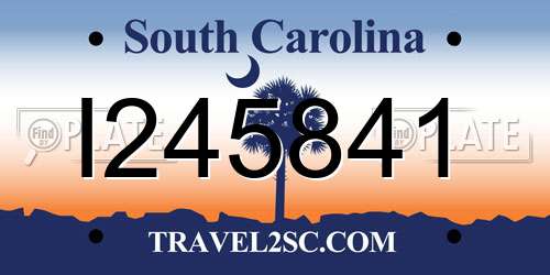 I245841 South Carolina License Plate