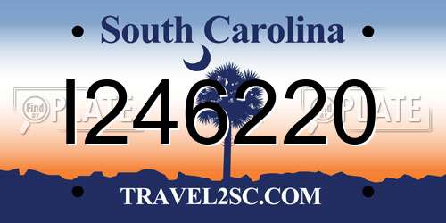 I246220 South Carolina License Plate