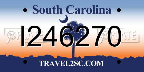 I246270 South Carolina License Plate