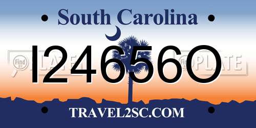 I24656O South Carolina License Plate