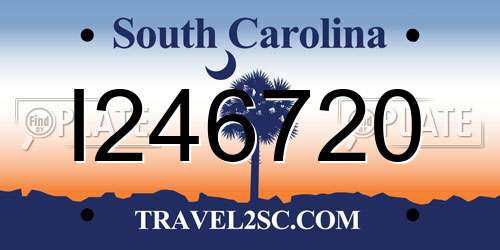 I246720 South Carolina License Plate