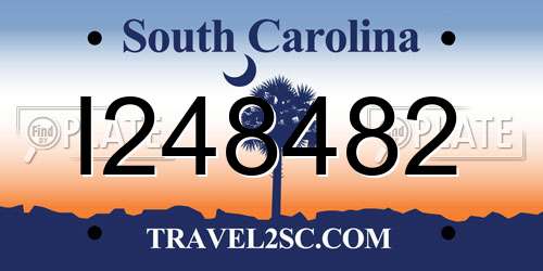 I248482 South Carolina License Plate