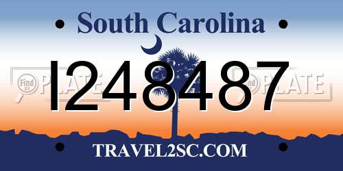I248487 South Carolina License Plate