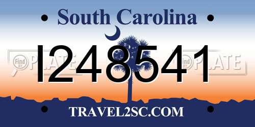 I248541 South Carolina License Plate