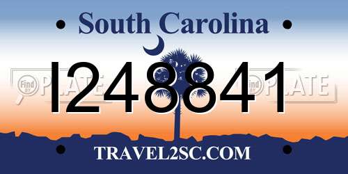 I248841 South Carolina License Plate