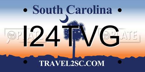 I24TVG South Carolina License Plate
