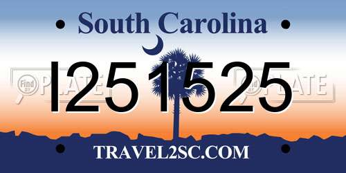 I251525 South Carolina License Plate