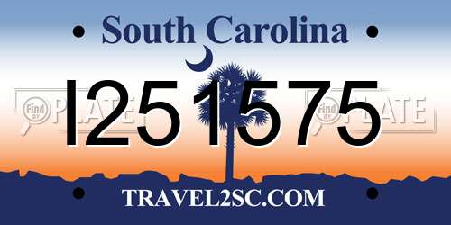 I251575 South Carolina License Plate