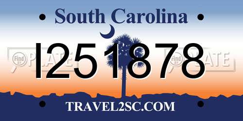 I251878 South Carolina License Plate