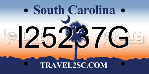 I25237G South Carolina License Plate