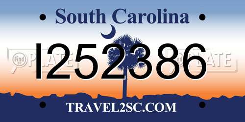 I252386 South Carolina License Plate