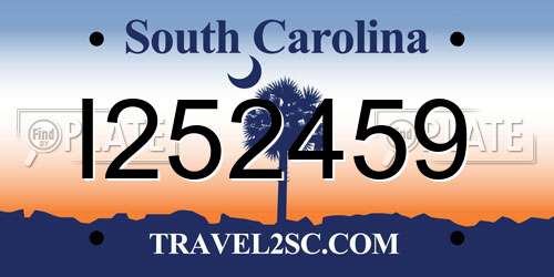I252459 South Carolina License Plate