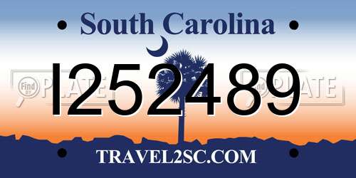 I252489 South Carolina License Plate