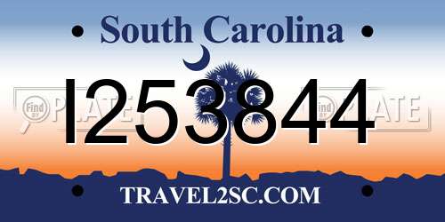 I253844 South Carolina License Plate