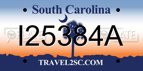 I25384A South Carolina License Plate